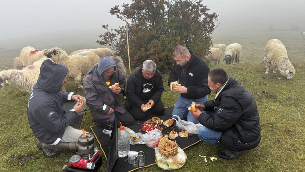 Karadeniz yaylalarında dönüş başladı: Çobanların sisli ve zorlu yolculuğu 6